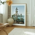 thumbnail image 6 of Bass Harbor Pines - Maine Photography Oak Framed Wall Art Print 16 x 20 inches, 6 of 12