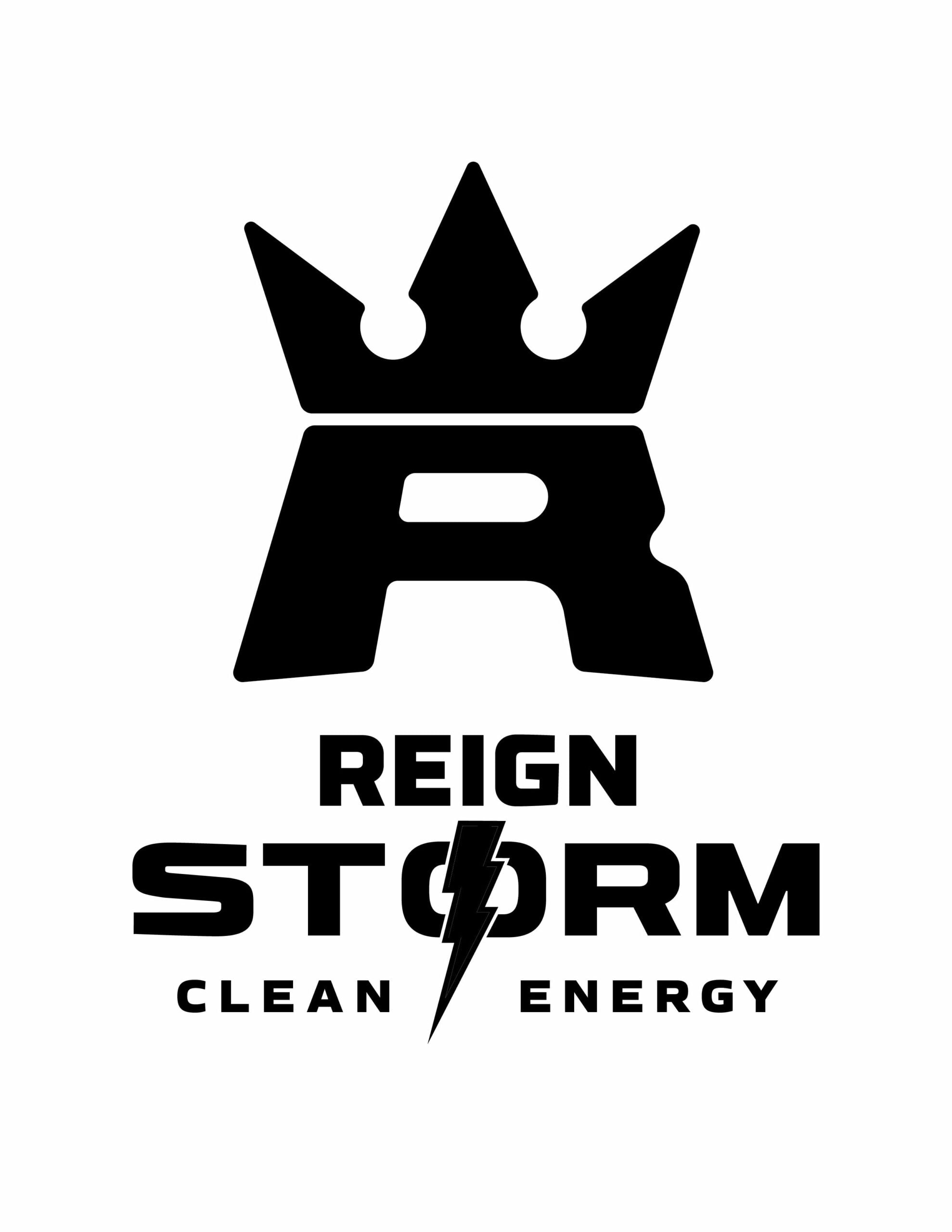 REIGN Storm, Valencia Orange, Energy Drink, 12 Oz Can - 12 Pack