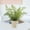 C, variant on Yonrjhukm Simulated Potted Plants Decor, Realistic Indoor Artificial Greenery for Home, Living Room, Bedroom, Office, Low Maintenance Faux Flower Bonsai, Durable Ceramic Base