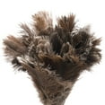 thumbnail image 4 of Redecker Ostrich Feather Duster with Varnished Wooden Handle, Small, 13-3/4-Inches, 4 of 4