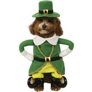 Pet Walking Leprechaun Costume