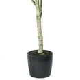 thumbnail image 5 of Vickerman 72" Artificial Green Olive Tree in Black Planters Pot., 5 of 6