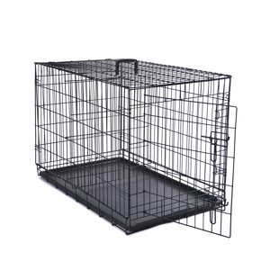 Max & Marlow Single-Door Metal Wire Dog Crate, 36" x 22" x 24.5"