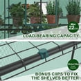 thumbnail image 6 of JIOABL 3-Tier Walk-In Greenhouse with PE Cover, Roll-Up Zipper Door & Side Windows, Steel Frame, Outdoor Plant Greenhouse for Garden, Patio, Green, 6 of 10