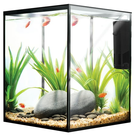 Current USA Solo  Desktop Aquarium  Kit 5 gal Walmart com
