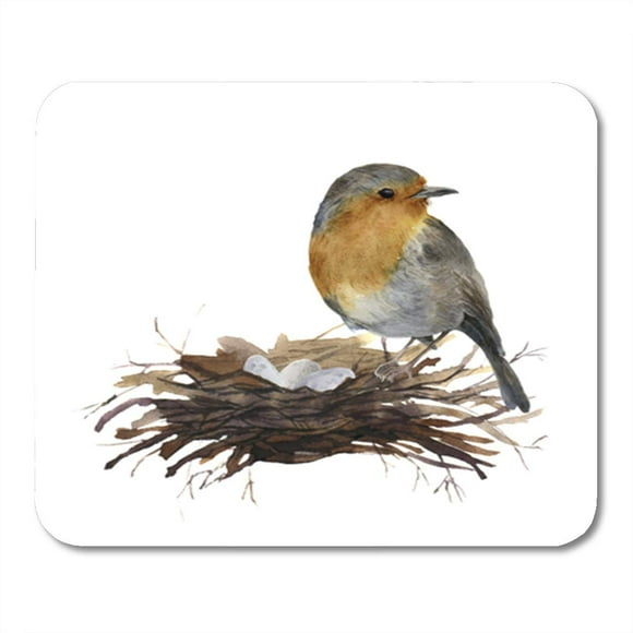 POGLIP Blue Watercolor Bird Sitting on Nest Eggs Hand Robin Mousepad Mouse Pad Mouse Mat 9x10 inch