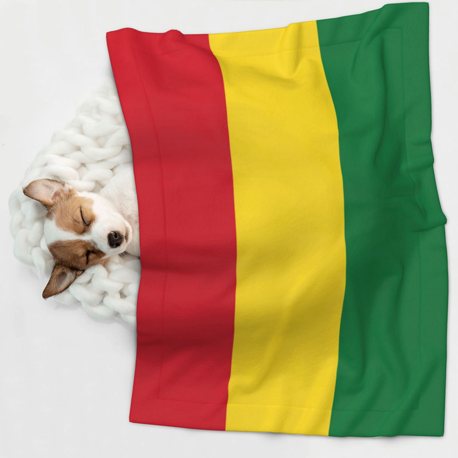Flannel Throw Dog Blanket Reggae Rasta Flag Soft Warm Print Pet Blankets for Small Dog Cat Puppy