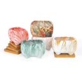 thumbnail image 3 of Rectangular Succulent Pots with Drainage, 4.7" Cactus Succulent Planter with Trays Modern Ceramic Flower Plant Bonsai, 3 of 5