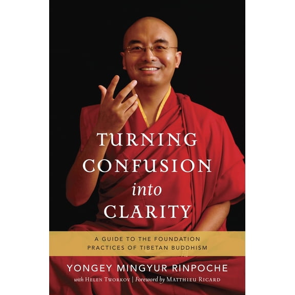 Pre-Owned Turning Confusion Into Clarity: A Guide to the Foundation Practices of Tibetan Buddhism (Paperback) 1611801214 9781611801217