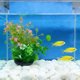 thumbnail image 4 of Plantas artificiales de acuario, decoración plástica de plantas acuáticas, adorno de paisajismo de simulación verde de 11 pulgadas, diseño flexible de molduras para acuarios de agua dulce, 4 of 6