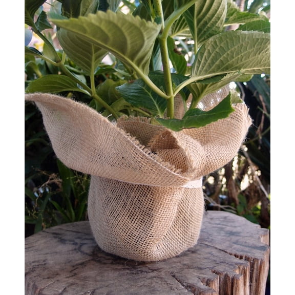 Burlap Fabrics Fringed Burlap Sheets - 30 x 30 Inch Natural Rustic Craft Sheets 12 Pack