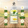 Bonzelo iMATCHME Mullein Leaf Capsules For Lung Cleanse Detox Herbal