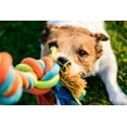 thumbnail image 2 of Pet Friendly Three Knot Rope Toy Large  (USA Product), 2 of 8