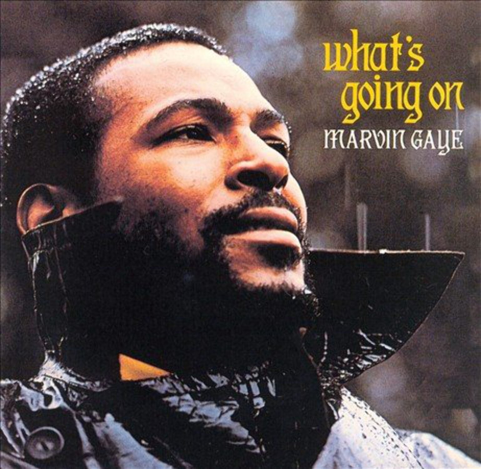 Marvin Gaye - What's Going on - Music & Performance - Vinyl