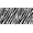 Abstract Zebra Skin, variant on Vanity License Plate - Camouflage Camo Grey Design, Decorative Car Tag, Aluminum Metal, 4-Hole, 6 x 12 Inch, Fits US/Canada Standard Plates