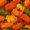 Pumpkin 13, variant on Erosebridal Hippie Harvest Pumpkin Zipper Twin Comforter Sets with Fitted Sheet and 2 Pillowcases, Botanical Maple Leaf Zipper Bedding Set for Boys Girls, Orange Pale Yellow, Gray Reversible