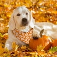 thumbnail image 3 of Fall Dog Bandana Reversible 2 Pack Large, Autumn Orange Daisy Butterfly Buffalo Plaid Cute Fall Pet Bandanas for Dogs Triangle Holiday Scarves for Medium Large Extra Large Boy Girl Dogs, 3 of 6