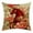 C, variant on SLYNSHome Square Throw Pillow Covers 18x18 inch,Decorative Animal Pillow Case Horse-Themed Vintage Cushion Covers for Bedroom Sofa Living Room