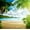 Sunny Seychelles Beach Trees, variant on Elephant Stock Sunny Seychelles Beach Trees Wall Art - Horizontal Multi Panel Canvas - Living Room Wall Decor - Beach Multi Panel - Yellow And Green Decor - 29" x 12"