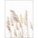thumbnail image 4 of Premium poster set - set of 3 pictures - stylish home decoration for bedroom and living room | Posters Vintage | Pictures beige - without picture fram, 4 of 5
