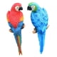 thumbnail image 5 of 2 figuras de loro para jardín, decoración de pared y árbol, adornos de animales Azul rojo, 5 of 9