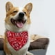 thumbnail image 5 of Collar para perros, pañuelo triangular ajustable para mascotas, collar con estampado floral, accesorios de disfraz para perros pequeños y medianos (rojo), 5 of 5