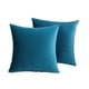 thumbnail image 1 of Juego de fundas de almohada de terciopelo nórdico, suave y lavable, 45 x 45 cm, 1 of 1