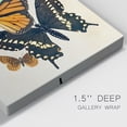 thumbnail image 3 of Collaged Butterflies I Premium Gallery Wrapped Canvas - Ready to Hang, 3 of 9