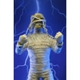 thumbnail image 4 of Iron Maiden World Slavery Tour 8" Mummy Eddie Action Figure, by NECA, 4 of 5