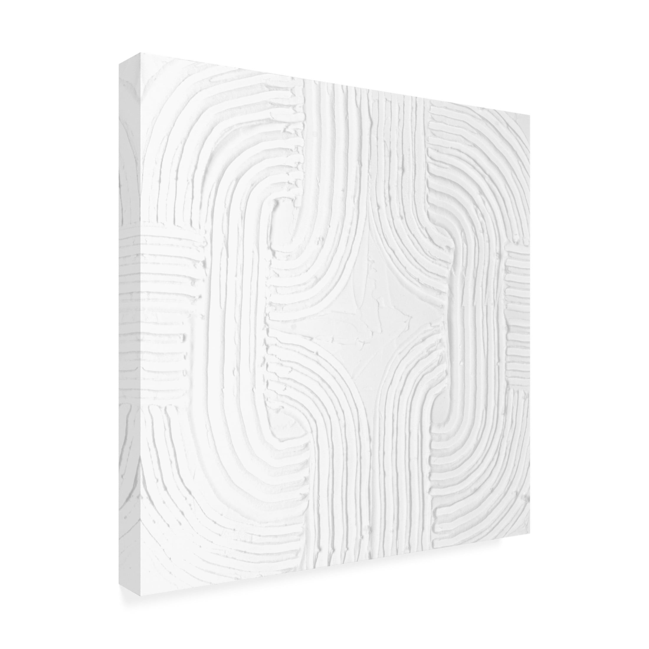 Trademark Fine Art Michael Willett  Pale Tracks I Canvas Wall Art