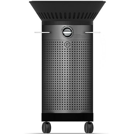 Element Gas Grill, Dark Gray Body