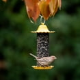 thumbnail image 5 of More Birds Little-Bit Finch Screen Bird Feeder, Wild Bird Feeder, .6 lb Seed Capacity, 5 of 5