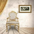 thumbnail image 3 of Palmer, Adelaide Coburne 14x8 Gold Ornate Wood Framed with Double Matting Museum Art Print Titled - Mountain Laurel, 3 of 4