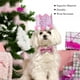 thumbnail image 4 of Moda Navidad fiesta de cumpleaños mascotas perros gatos flor brillante corona sombrero pajarita conjunto rosa, 4 of 9