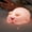 Cute Pig, variant on MYKOMI Kawaii Decor Boys Girls Gifts - Cute Led Vegetable Night Light Sleep Lamp Bedside Lamp Nursery Night Light - 3 Level Dimmable USB Rechargeable - Age 3 to Adult (Vegetable)