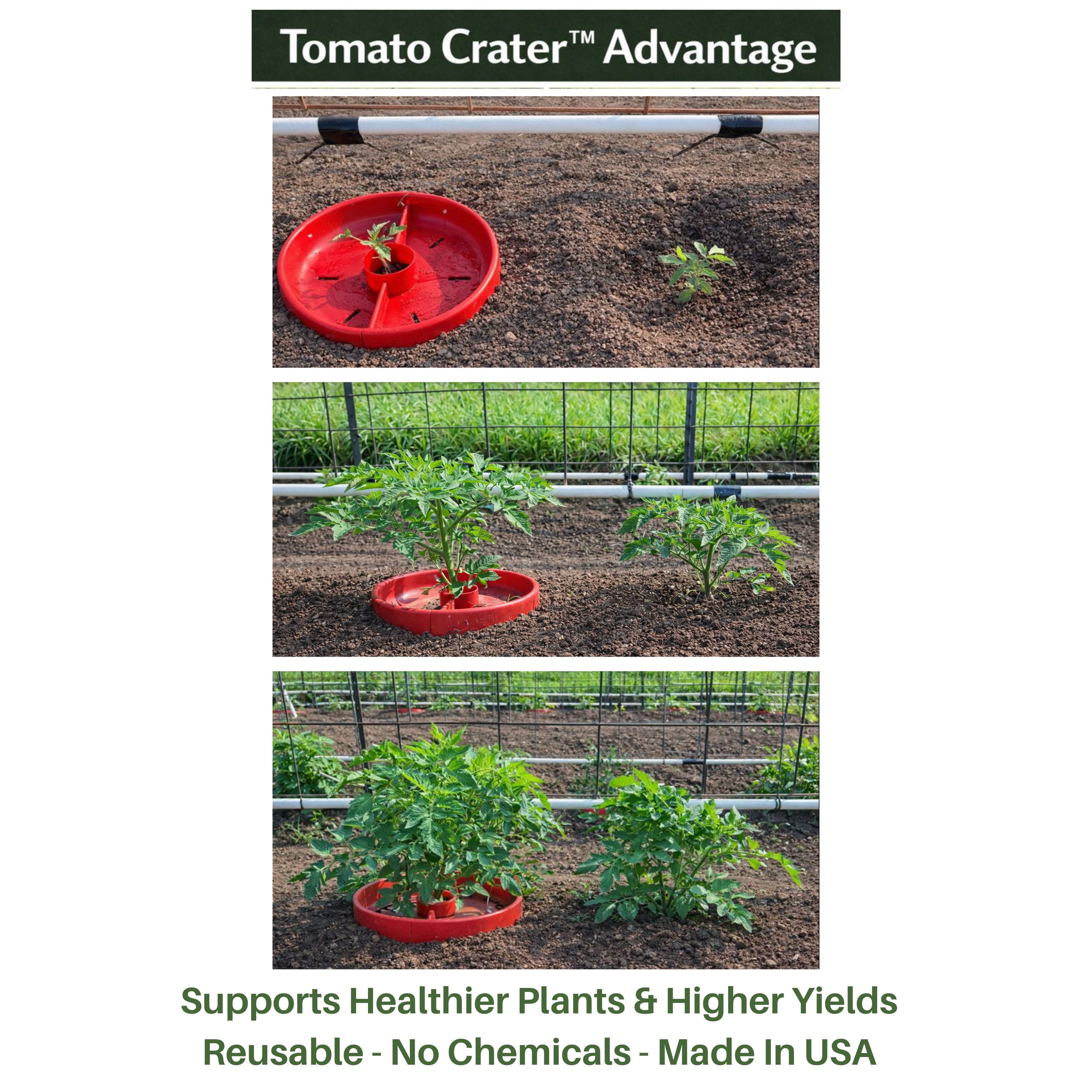 Tomato Crater® Root-Zone Watering Ring – Snap-Together Base System That Delivers Water to Roots, Naturally Reduces Weeds & Helps Vegetables Grow Stronger, 3PK