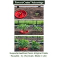 thumbnail image 5 of Tomato Crater® Root-Zone Watering Ring – Made in USA Snap-Together Base System That Delivers Water to Roots, Naturally Reduces Weeds & Helps Vegetables Grow Stronger, 1PK, 5 of 7