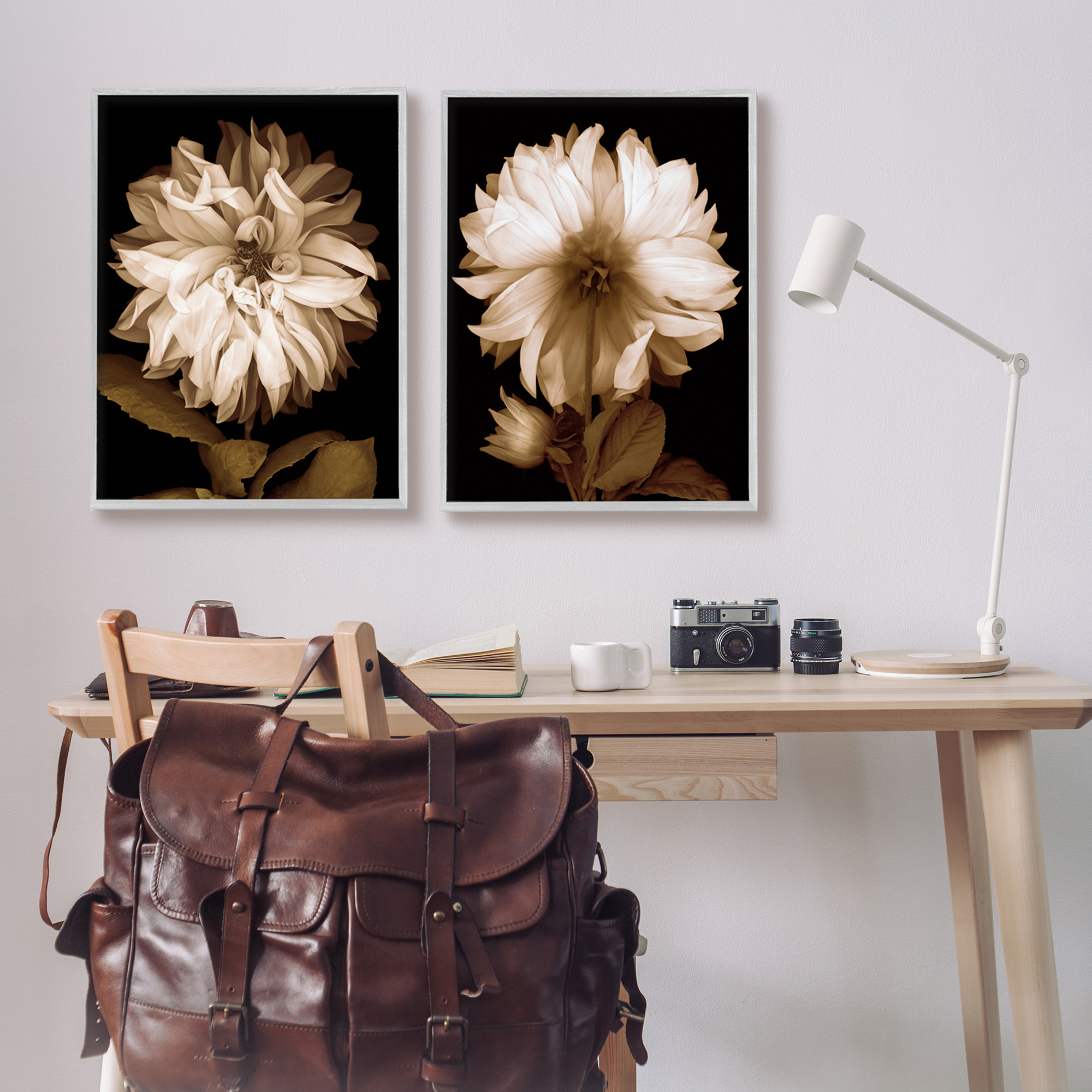 Stupell Sepia Chrysanthemum Flower Blooms Botanical & Floral Photography Gray Framed Art Print Wall Art, Set of 2