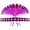 Transparent Purple, variant on DESIGNICE Ear Stretching Kit,14G-00G Gauges for Ears,Leather Collar Gauge Stretching Kit,Transparent Glow-in-the-Dark