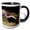 Black/White, variant on 3drose, Striped Skunk Wildlife, Hill Country, Texas - Na02 Rnu0263 - Rolf Nussbaumer, 11oz Two-tone Yellow Mug