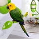 thumbnail image 4 of CHAO 3 piezas de percha para pájaros, comederos para pájaros centelleantes con hueso de sepia, soporte para sepia, soporte de plástico para comida para pájaros, comedero para pájaros en jaula., 4 of 5