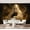 Color 3, variant on Wall Mural Peel and Stick Ethereal Ghost Holding Cat Mystical Smoky Atmosphere Black Self-Adhesive Wallpaper Removable Wall Decal Wall Sticker Home Decor for Living Room Bedroom 100"x144"