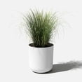 thumbnail image 5 of Veradek Mason Series Kona 20" Plastic-Stone Planter - White, 5 of 8