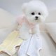thumbnail image 5 of Ropa para perros, chaleco cálido de invierno para cachorros, abrigo, ropa para perros pequeños, ropa para chihuahua, disfraz de Yorkshire, pijama suave para perros, 5 of 5
