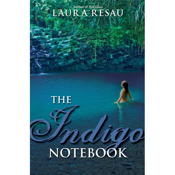 Pre-Owned The Indigo Notebook (Paperback) 0375845240 9780375845246