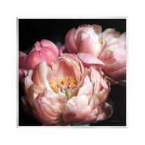 Stupell Industries Blooming Peony Photography Botanical & Floral Photography Unframed Art Print Wall Art, 12 x 12