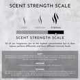 thumbnail image 3 of 16oz Oud Wood | Guaiac Wood | Cedar Diffusing Oil (Inspired by Tom Ford&reg;), 3 of 4