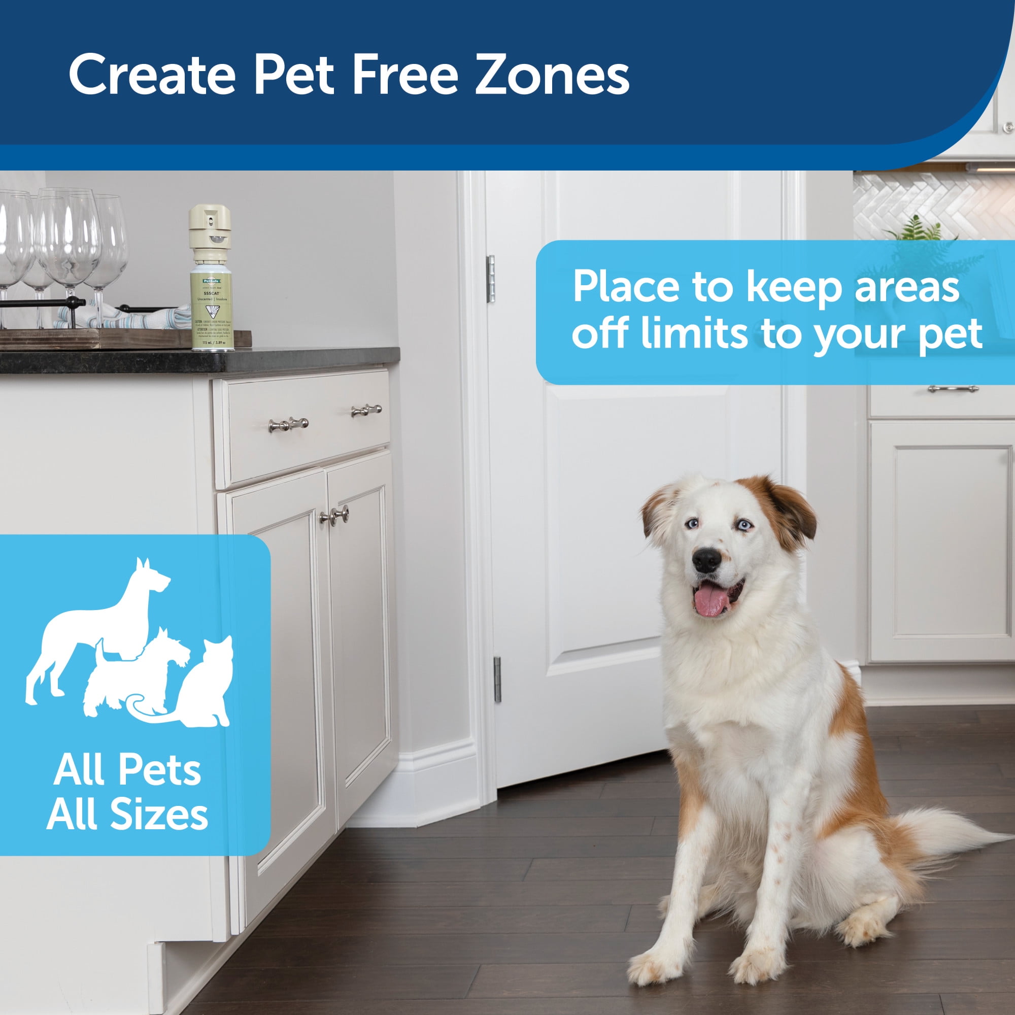 ssscat walmart canada