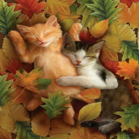 Autumn Nap price history on PriceWatchPro