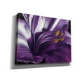 thumbnail image 2 of Epic Graffiti 'Amethyst' by Barbara Keith, Canvas Wall Art, 34"x26", 2 of 8